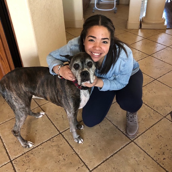 Meet your Posher, Chloe - Picture 1 of 1